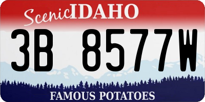 ID license plate 3B8577W
