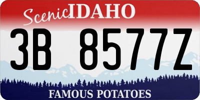 ID license plate 3B8577Z