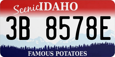 ID license plate 3B8578E