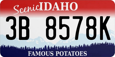 ID license plate 3B8578K