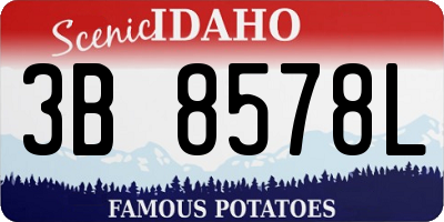 ID license plate 3B8578L