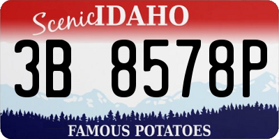 ID license plate 3B8578P