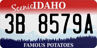 ID license plate 3B8579A