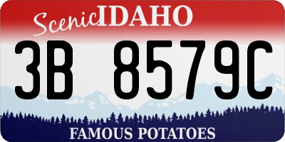 ID license plate 3B8579C