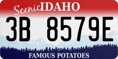 ID license plate 3B8579E