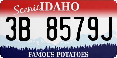 ID license plate 3B8579J