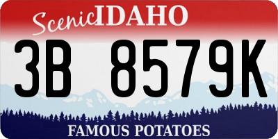 ID license plate 3B8579K