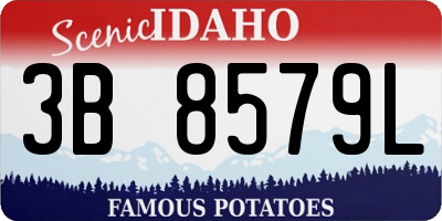 ID license plate 3B8579L