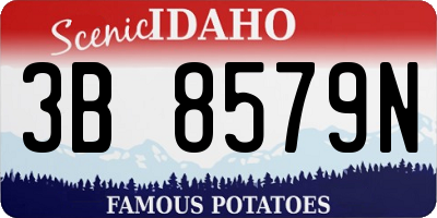 ID license plate 3B8579N