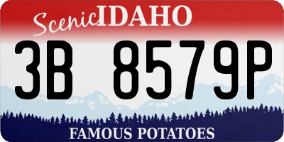 ID license plate 3B8579P