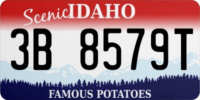 ID license plate 3B8579T
