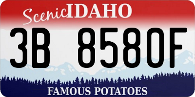 ID license plate 3B8580F