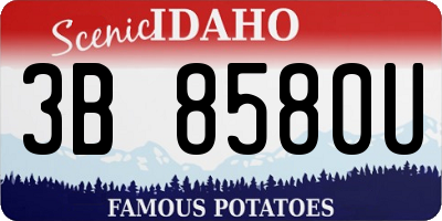 ID license plate 3B8580U
