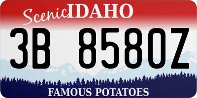 ID license plate 3B8580Z