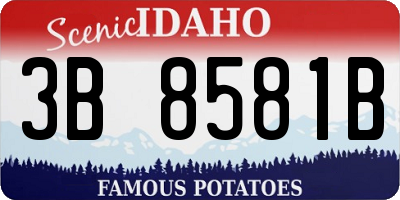 ID license plate 3B8581B