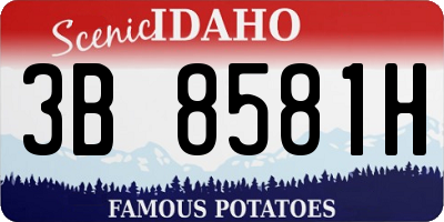 ID license plate 3B8581H