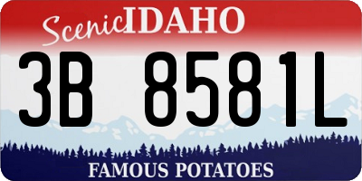 ID license plate 3B8581L