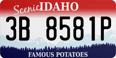 ID license plate 3B8581P