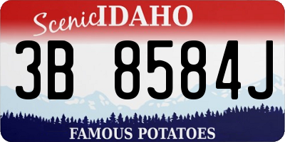ID license plate 3B8584J