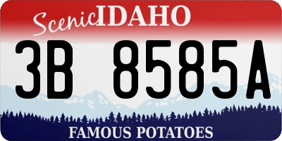 ID license plate 3B8585A