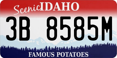 ID license plate 3B8585M