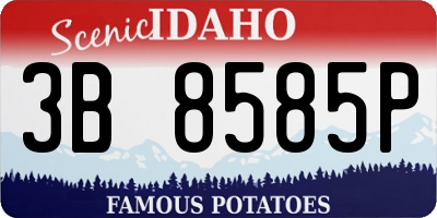 ID license plate 3B8585P