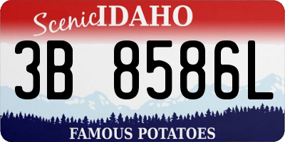 ID license plate 3B8586L