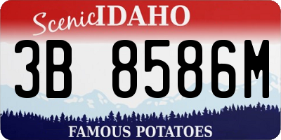 ID license plate 3B8586M