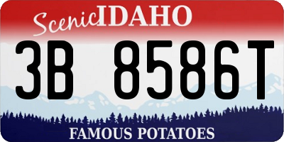 ID license plate 3B8586T