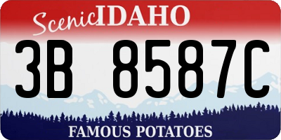 ID license plate 3B8587C