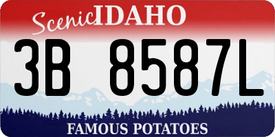 ID license plate 3B8587L