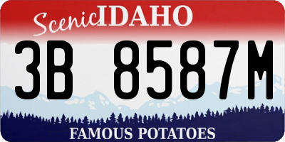 ID license plate 3B8587M