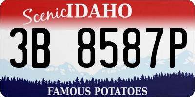 ID license plate 3B8587P