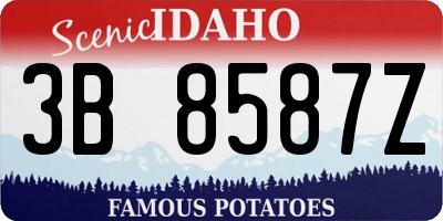 ID license plate 3B8587Z