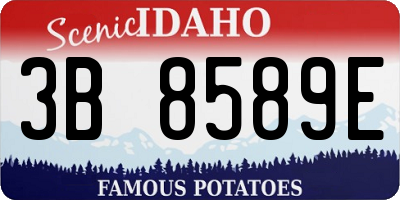 ID license plate 3B8589E