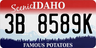 ID license plate 3B8589K