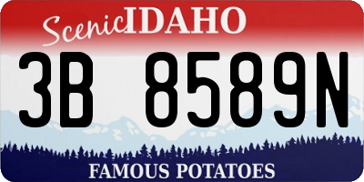 ID license plate 3B8589N