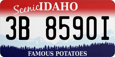 ID license plate 3B8590I
