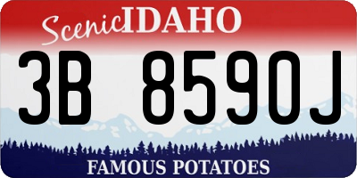 ID license plate 3B8590J