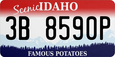 ID license plate 3B8590P