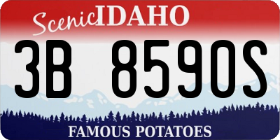 ID license plate 3B8590S
