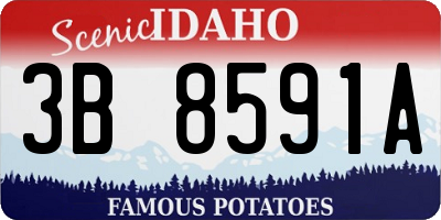 ID license plate 3B8591A
