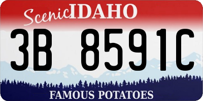 ID license plate 3B8591C