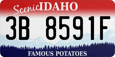 ID license plate 3B8591F