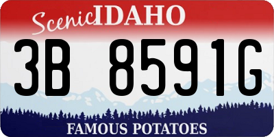 ID license plate 3B8591G