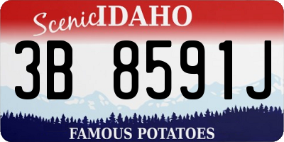 ID license plate 3B8591J
