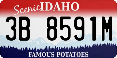 ID license plate 3B8591M