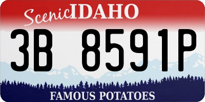 ID license plate 3B8591P