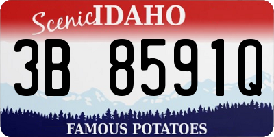 ID license plate 3B8591Q