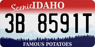 ID license plate 3B8591T